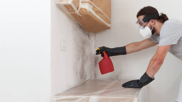 Professional Mold Removal technician working in Foster, VA